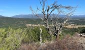 Randonnée Marche Darnius - Mirador del sentinella  - Photo 2