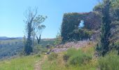 Tour Wandern Montferrer - montferrer . El castel . Puiq de volafort .. retour par la piste  - Photo 11