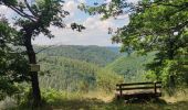 Trail Walking Altstrimmig - A la découverte du pont de Geierlay - Photo 4