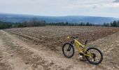 Percorso Mountainbike Sault - Crêtes et forêt d Aurel sur les traces du Trail du Ventoux - Photo 5