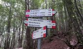 Trail On foot Lizzano in Belvedere - IT-109 - Photo 10