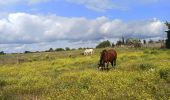 Tour Wandern Viols-le-Fort - thezan les Béziers  - Photo 2