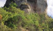 Tocht Stappen Le Rozier - corniche du Tarn et de la Jonte - Photo 13