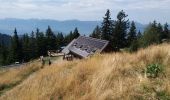 Trail Walking Revel - Montagne 15/08/2023 - Photo 8