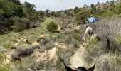 Trail Horseback riding Arguedas - Bardenas jour 7 - Photo 10