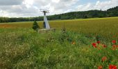 Tour Wandern Itteville - 2020-05-23 itteville Baulne 17 km - Photo 2