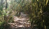 Trail Walking Montclus - montclus le dent de serret - Photo 6