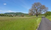 Trail Walking Dossenheim-sur-Zinsel - Le Bastberg depuis Dossenheim-sur-Zinsel - Photo 1