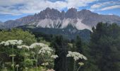 Trail Walking Brixen - Bressanone - Plose - Schatzerhütte - Photo 19