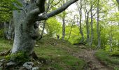 Trail On foot Salles - SALLES-ARGELES col d'Andorre et soum de Leiz (ou pas)  2796042 - Photo 5