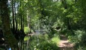 Trail Walking Chimay - Vous de Beaumont Natura 2000 - Photo 1