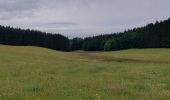 Tour Wandern Martelingen - Vlessart 270622 - Photo 11