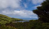 Tour Zu Fuß São Roque do Pico - Caminho das Lagoas - Photo 3