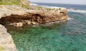 Excursión Senderismo Le Moule - Anse Petite Savane - Anse à l'Eau - Photo 7