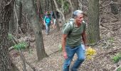 Tocht Stappen Collobrières - Collobriéres. Sommet de l'Argentière  - Photo 13