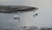 Randonnée Marche Berre-l'Étang - PF-Berre-l'Etang - Saint Chamas - La Petite Camargue - Photo 5