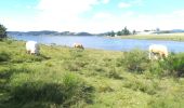 Excursión Senderismo Naussac-Fontanes - Lac de Naussac (05 07 2020) - Photo 6