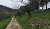 Tocht Stappen Prades - Balade Prades-Le Courtiol-Bois la Peyre-Sausse - Photo 1