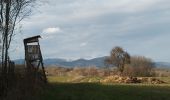 Randonnée Marche Sentheim - Autour des quatres villages - Photo 11