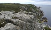 Trail Walking Camaret-sur-Mer - Autour de Camaret sur Mer - Photo 9