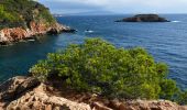 Tour Wandern Saint-Cyr-sur-Mer - Port de la Madrague - Pointes Fauconnière, des 3 Fours, du Défends, des Termes et des Engraviers - Bandol - Photo 11