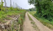 Trail Walking Crozes-Hermitage - Croyez Hermitag3 belvédère des Mesjeans - Photo 3