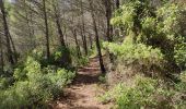 Excursión Senderismo Le Revest-les-Eaux - Reconnaissance tracés autour de la Ripelle - A la découverte de nouveaux chemins - Photo 1