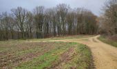 Trail Walking Meix-devant-Virton - Gite-de-gaume : Entre France et Belgique  - Photo 18