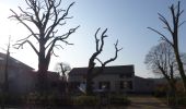 Trail On foot Lommel - Heuvelse Heide Oranje bol - Photo 10