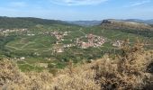 Tour Wandern Solutré-Pouilly - Roche de Solutré - Photo 2