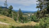 Randonnée Marche Prémanon - col de la porte et de la Dole - Photo 12