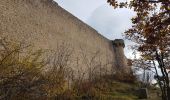 Tocht Stappen Eguisheim - Randonnée 5 châteaux - Eguisheim - château d'Hagueneck - château de Hohlandsbourg - trois châteaux d'Husseren - Photo 10