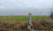 Trail Walking Bassenge - entre Wonck et Eben-Eser - Photo 12