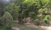 Tocht Stappen La Palud-sur-Verdon - sentier blanc Martel depuis Chalet les Malines - Photo 15