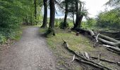 Trail Walking Raeren - Hauset 22,8 km - Photo 18