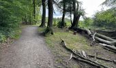 Tour Wandern Raeren - Hauset 22,8 km - Photo 18