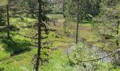 Tour Wandern Cauterets - Lac de Gaude - Photo 3