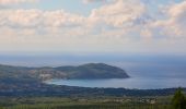 Tour Wandern La Cadière-d'Azur - La Peyguiere - Revers de Bocquié - Le télégraphe - La barbarie - Photo 5