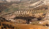 Tour Zu Fuß Benaoján - RÍO GUADIARO - Photo 5