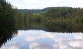 Trail On foot Philippsbourg - Hanau Pond's long circular hike - Photo 3