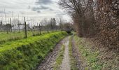 Trail Walking Wargnies-le-Grand - Jeanlain 15,3 km - Photo 5