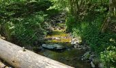 Tour Wandern Kiischpelt - Kautenbach - Sentier local KI 2 - Photo 13