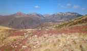 Trail Walking Beuil - balcon sur les gorges du cians - Photo 8