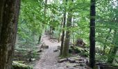 Trail Walking Echternach - mullerthal rando E1 . echternach . berdorf . echtrnach . via gorge du loup - Photo 1