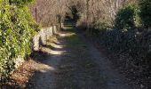 Trail Walking Chadeleuf - LES CROIX-BASSES - Photo 19