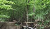 Tocht Mountainbike Verviers - VAE Stembert Gileppe Mariehomont - Photo 8