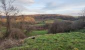 Trail Walking Anhée - Warnant - Haut le wastia, jonquilles - Photo 14