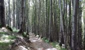 Trail On foot Poppi - (SI L05) Badia Prataglia - Passo della Calla - Photo 5