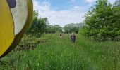 Tour Wandern Lebbeke - Wieze Vossewegelroute - Photo 13