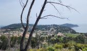 Tour Wandern Saint-Mandrier-sur-Mer - saint mandrier sur mer - Photo 1